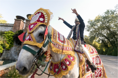 Veena-Horse-Doshi
